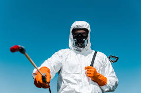 Trusted Essex, MD Pest control Experts